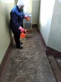 Санобработка 3 мкр. д.7 (1)