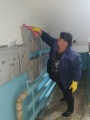 Санобработка 1-12_5