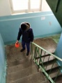 Санобработка 3 мкр. д.13 