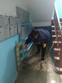 Санобработка 1-12_4