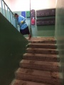 Санобработка 4 мкр. д.17 (1)
